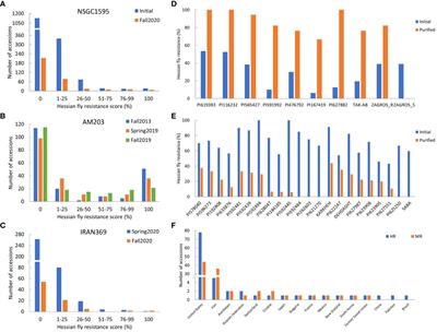 Evaluating a worldwide wheat collection for resistance to Hessian fly biotype ‘Great Plains’